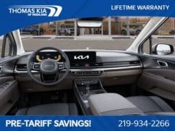
 Kia Carnival full									