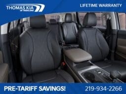 
 Kia Carnival full									