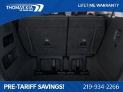 
 Kia Carnival full									