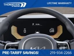 
 Kia Carnival full									