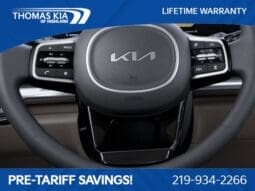 
 Kia Carnival full									