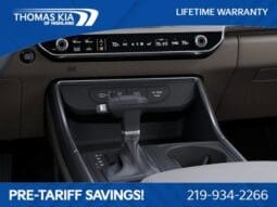 
 Kia Carnival full									