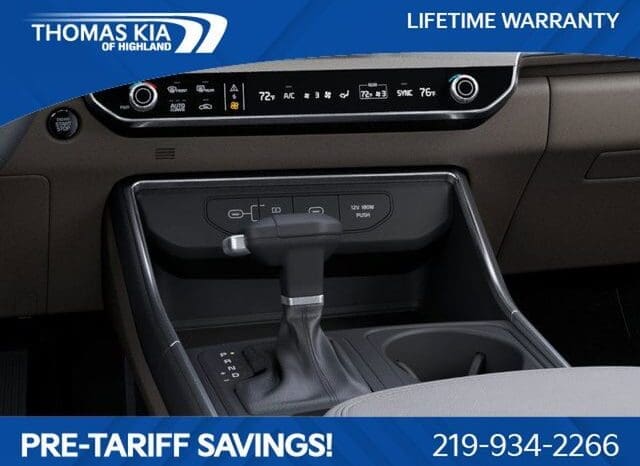 
 Kia Carnival full									