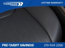 
 Kia Carnival full									
