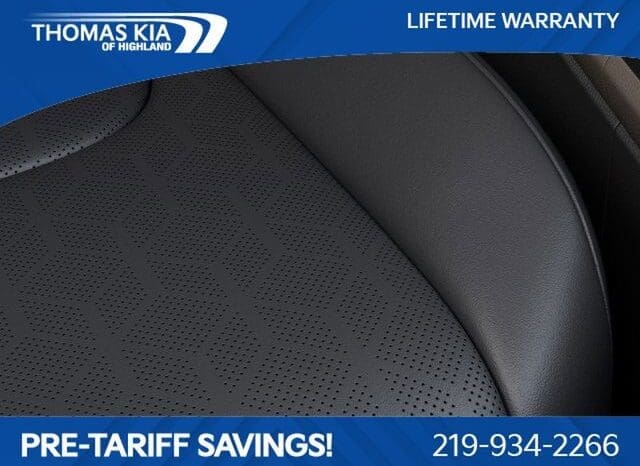 
 Kia Carnival full									