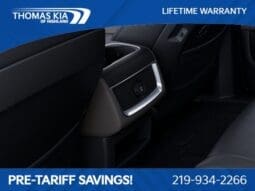 
 Kia Carnival full									