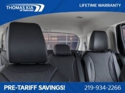 
 Kia Carnival full									