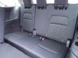 
 Nissan Pathfinder full									