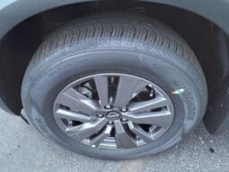 
 Nissan Pathfinder full									