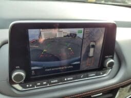 
 Nissan Rogue full									