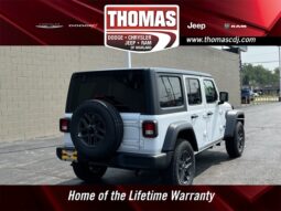 
										Jeep Wrangler full									