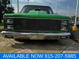 
 Chevrolet C/K 10 full									