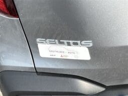 
 Kia Seltos full									