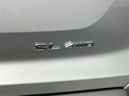 
 Nissan Pathfinder full									