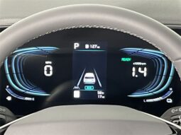 
 Kia Niro full									