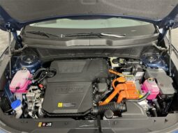 
 Kia Niro full									
