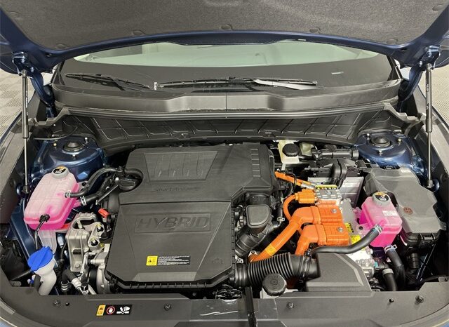 
 Kia Niro full									