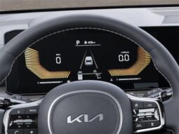 
 Kia Sorento full									