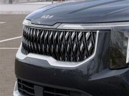 
 Kia Carnival full									