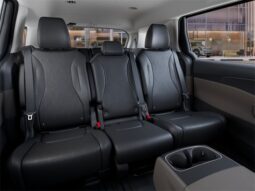 
 Kia Carnival full									