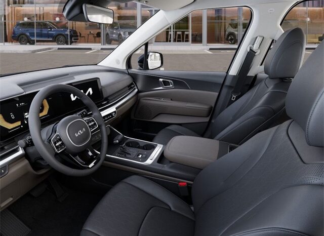 
 Kia Carnival full									