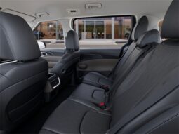 
 Kia Carnival full									