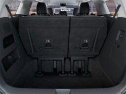 
 Kia Carnival full									