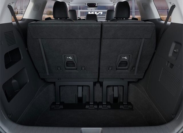 
 Kia Carnival full									