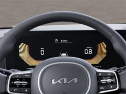 
 Kia Carnival full									