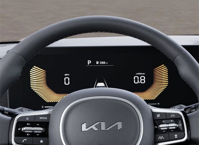
 Kia Carnival full									
