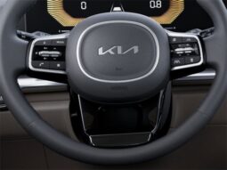 
 Kia Carnival full									