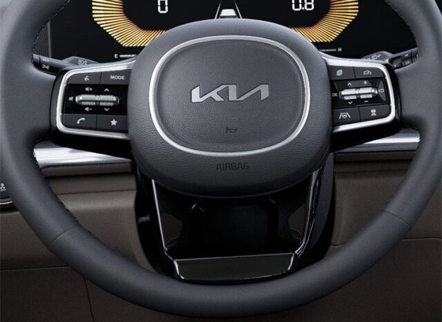 
 Kia Carnival full									