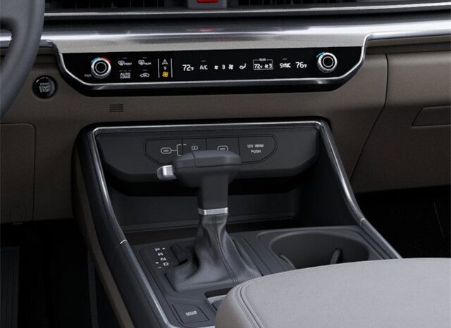 
 Kia Carnival full									