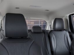 
 Kia Carnival full									