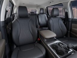 
 Kia Carnival full									