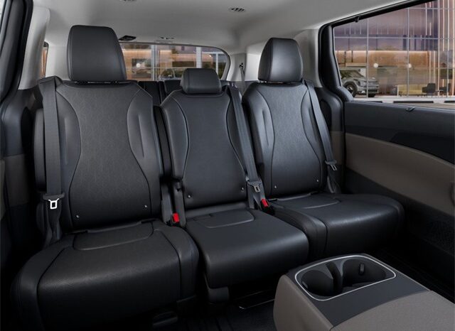 
 Kia Carnival full									