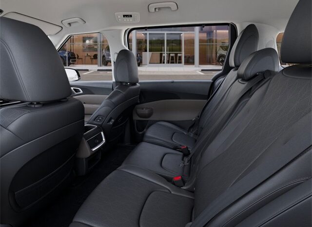 
 Kia Carnival full									