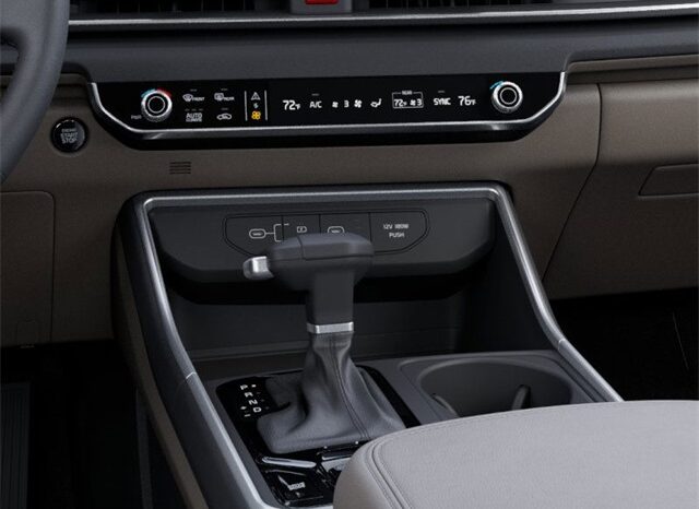 
 Kia Carnival full									