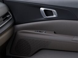 
 Kia Carnival full									