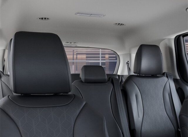 
 Kia Carnival full									
