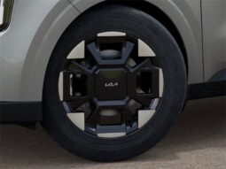 
 Kia Carnival full									