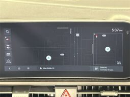 
 Kia Sportage full									