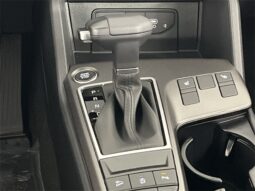 
 Kia Sportage full									