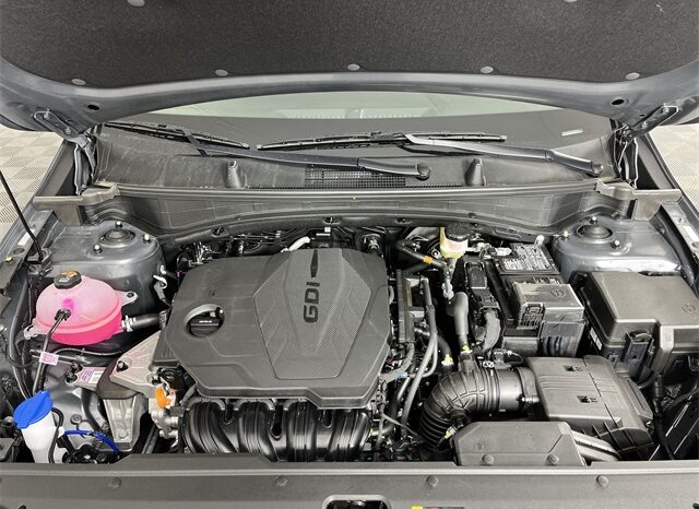 
 Kia Sportage full									