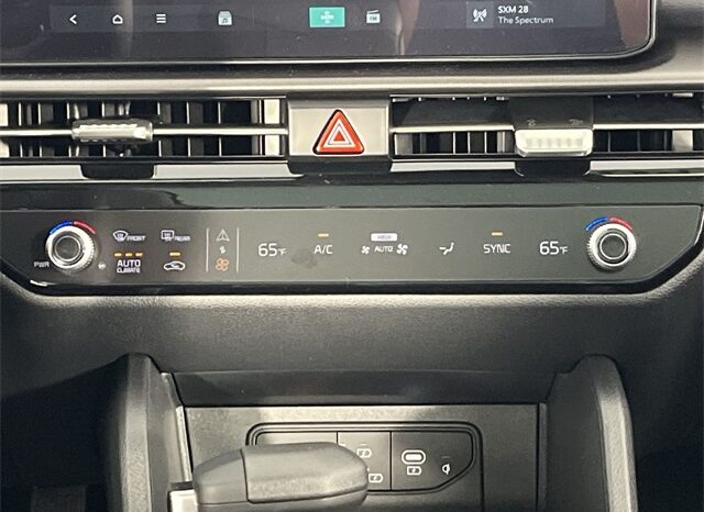 
 Kia Sportage full									