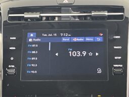 
 Hyundai Tucson full									