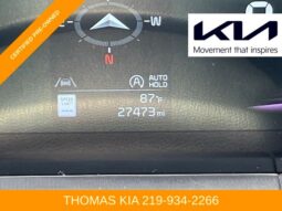 
 Kia Telluride full									