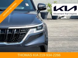 
 Kia Carnival full									