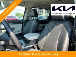 
 Kia Carnival full									