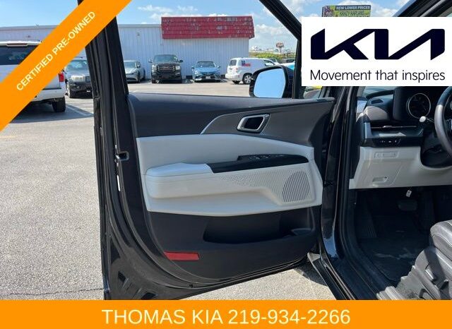 
 Kia Carnival full									
